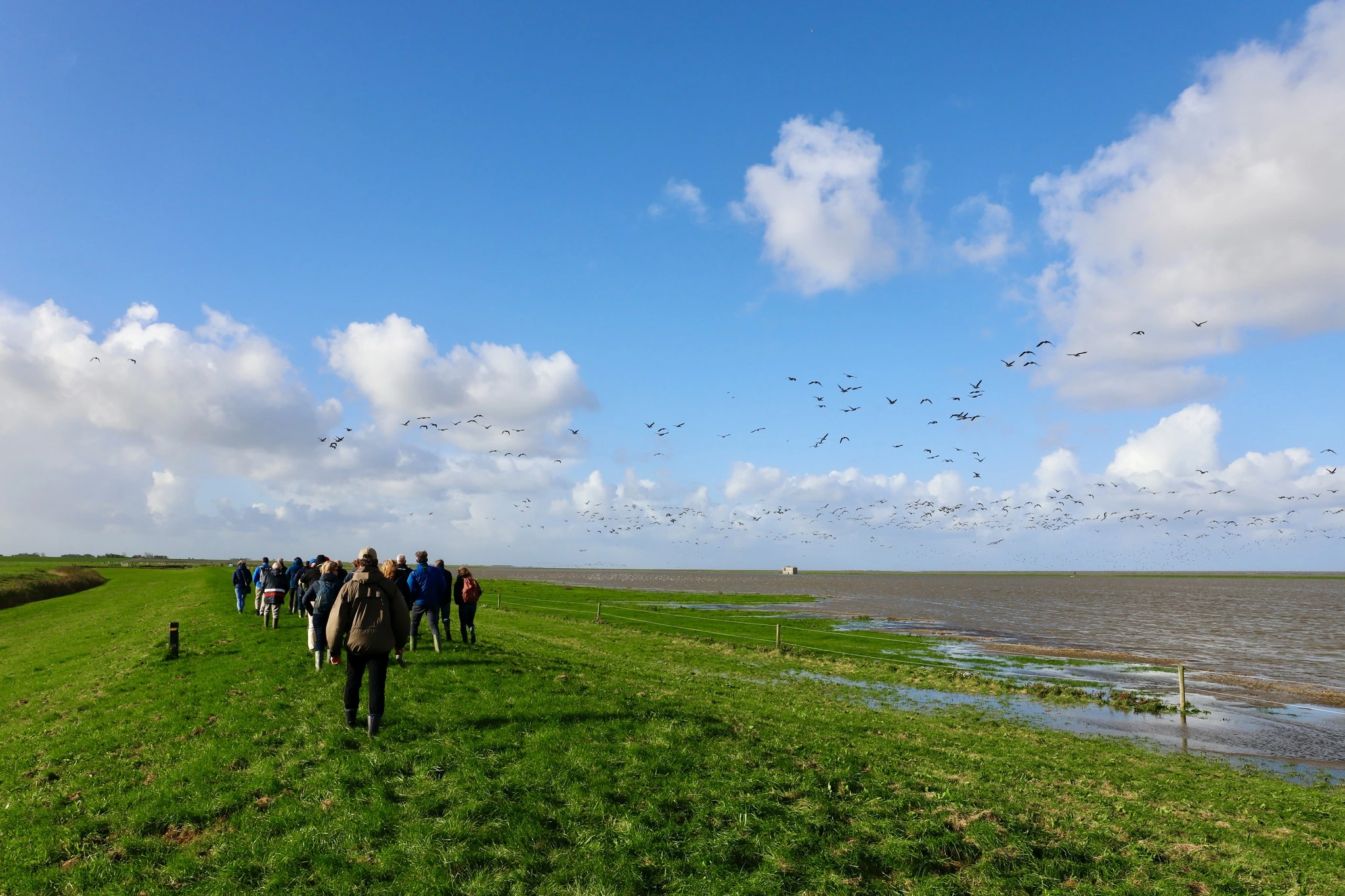 Prachtige wandeling met de Gouden Gidsen over de zeedijk